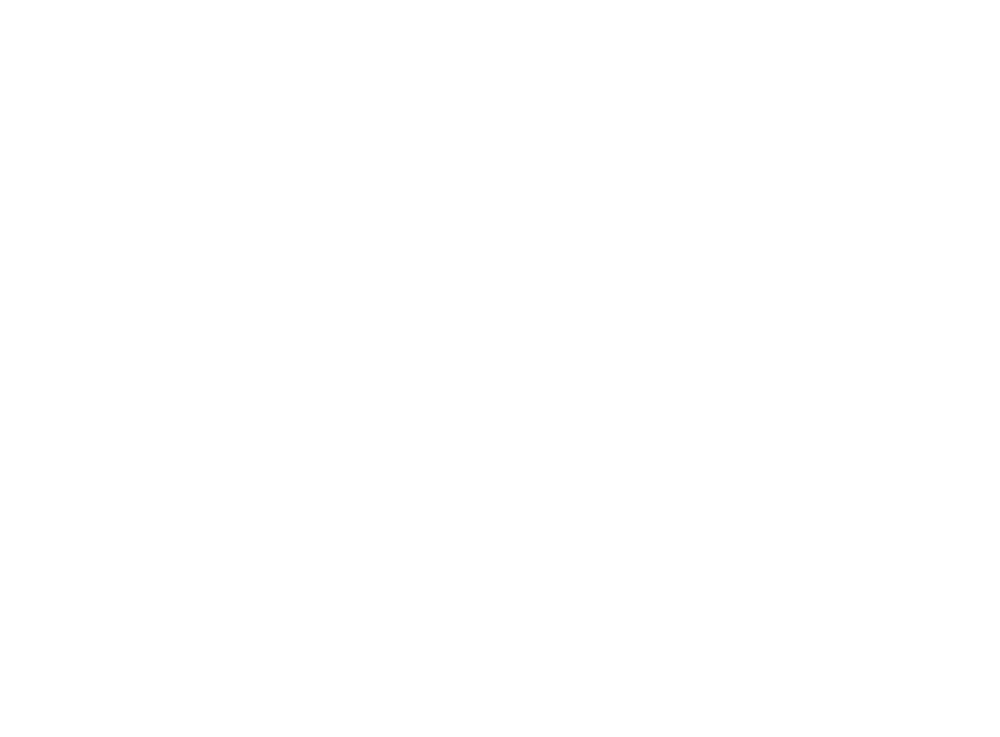 Пневматическая подвеска для лодок Тис Марин