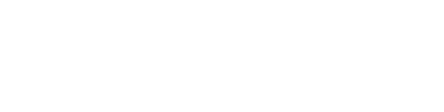 Катера NorthSilver